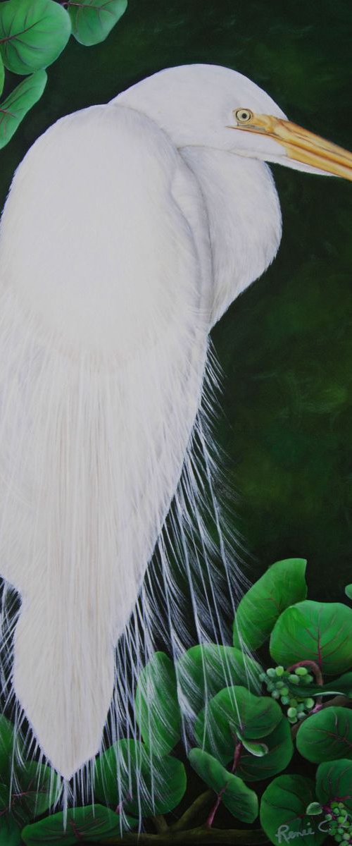 White Heron Among Aralias by Renee  DiNapoli