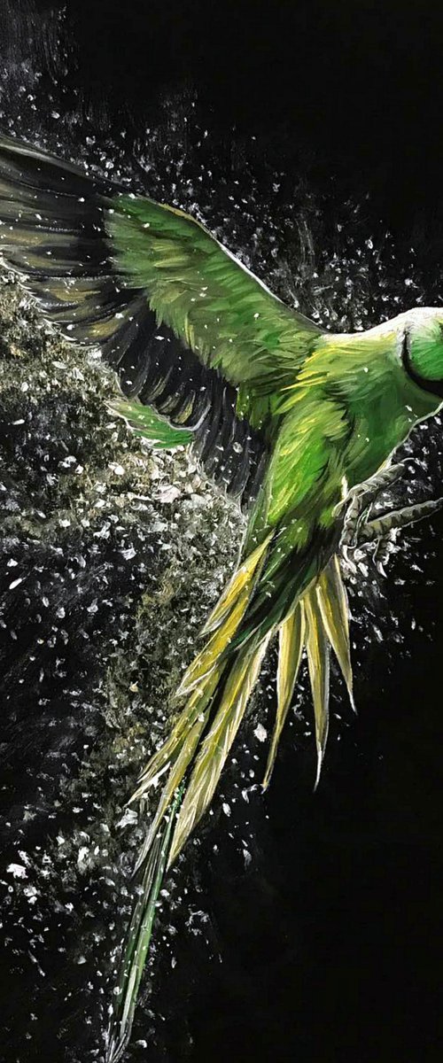Parrot by Elena Adele Dmitrenko