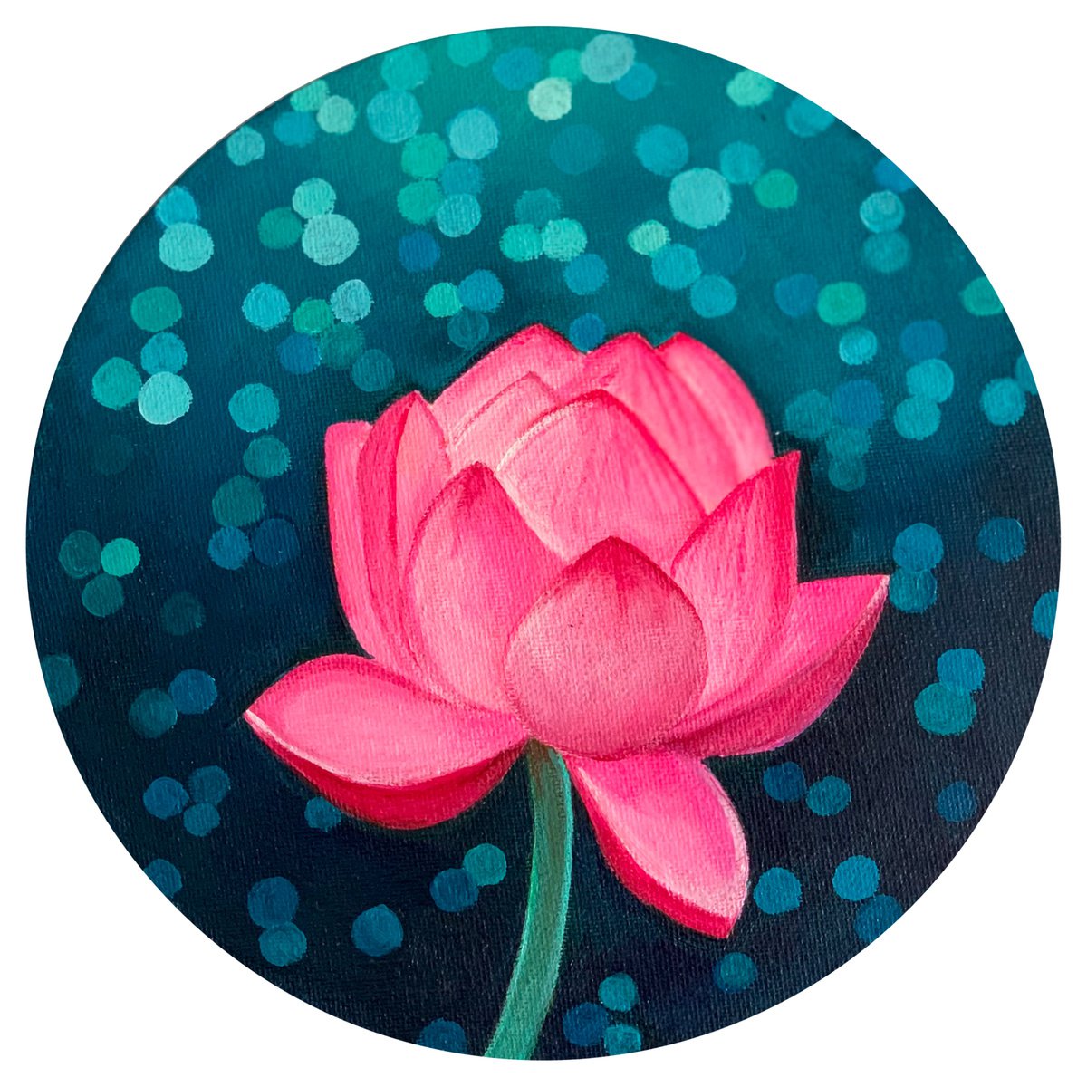 Pink Lotus by Amita Dand