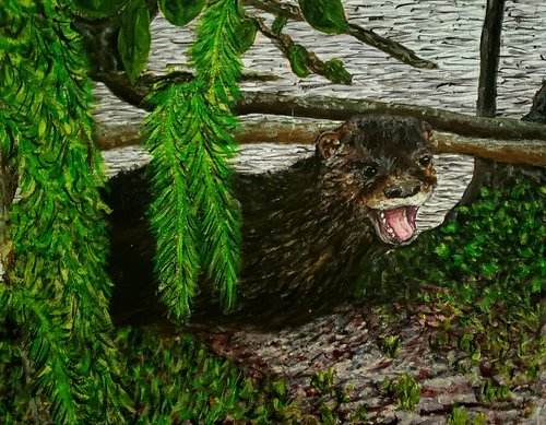 Laughing Otter by Robbie Potter