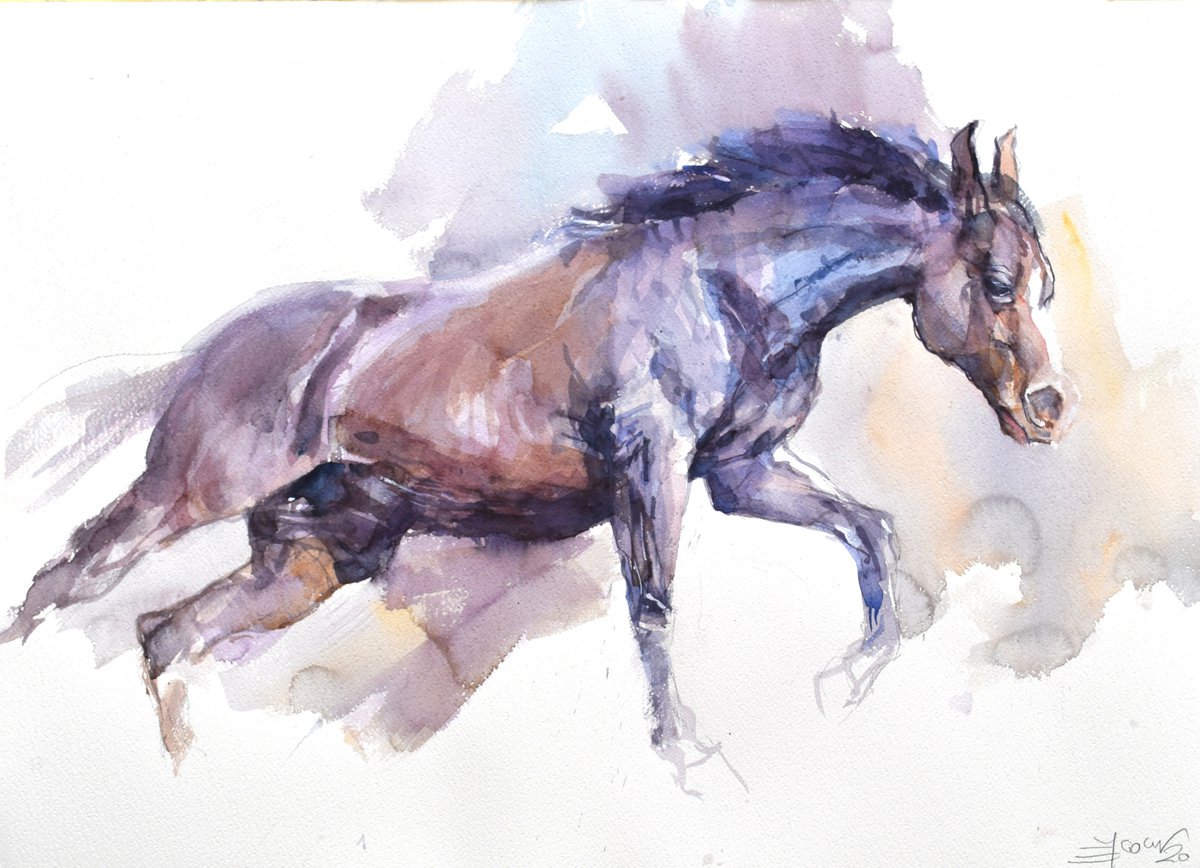 Horse in the run 3 (76x56) by Goran igoli? Watercolors