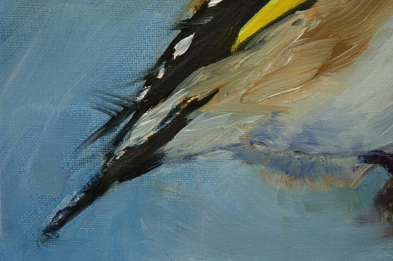 Goldfinch