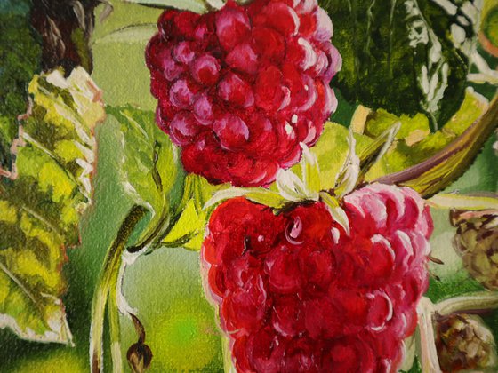 Raspberry painting Realistic