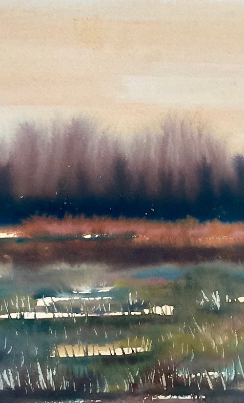 Bog landscape by Samantha Adams