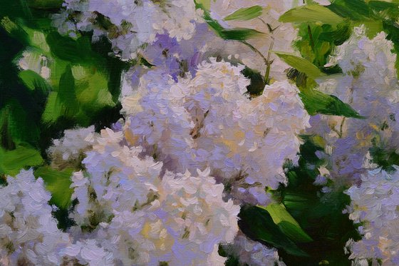 Flickering white lilac