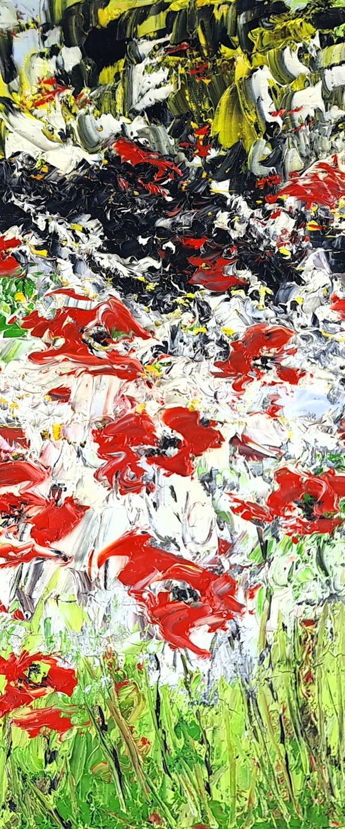 A Meadow Full Of Poppies by Daniel Urbaník