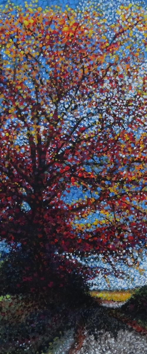 Shadow Tree by Roz Edwards