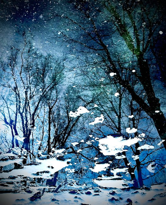 Stardust Forest