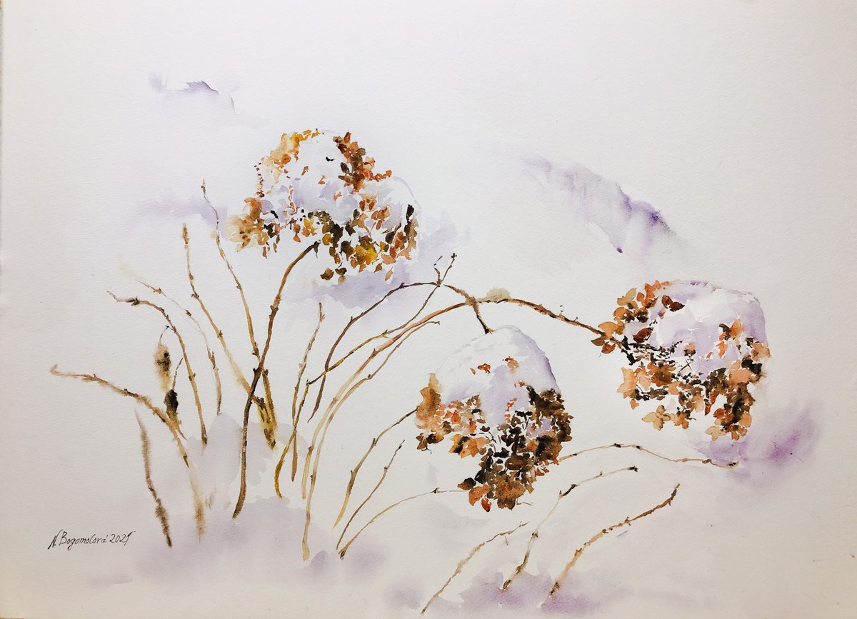Hydrangea under snow. Winter stories by Nadezhda Bogomolova
