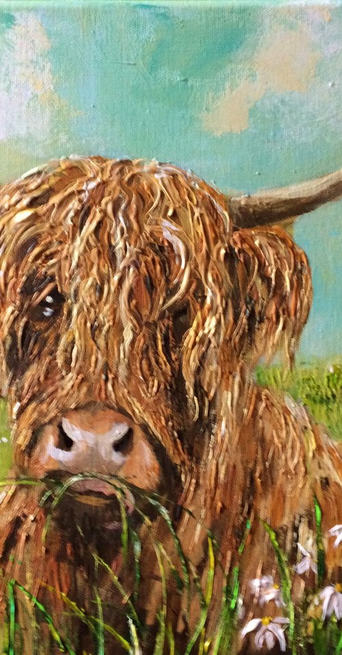 Daisy in the Meadow by Colette Baumback