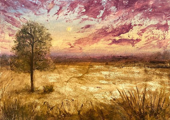 Lonely tree