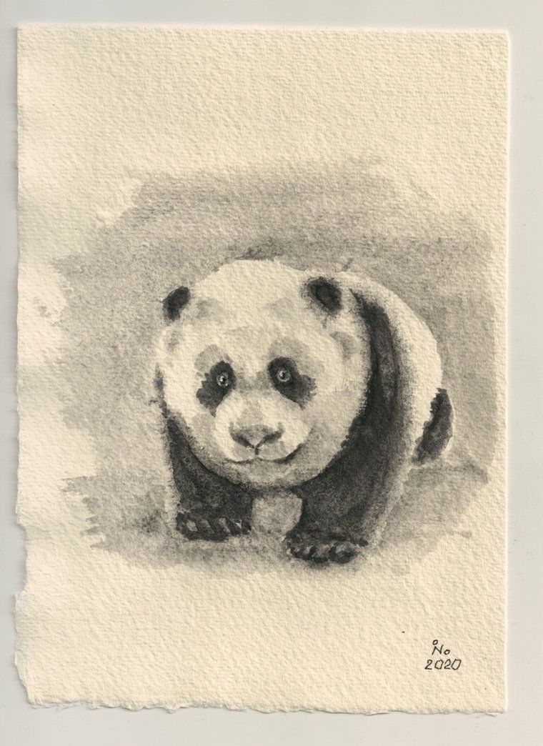 Results For Baby Panda Bear Art In Paintings Artfinder