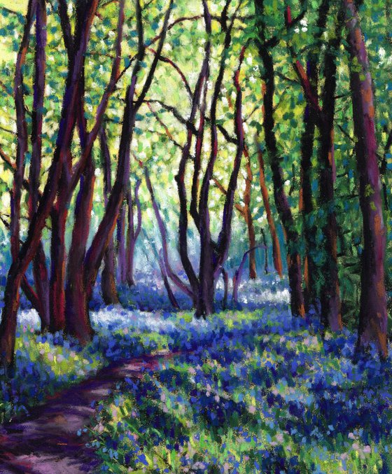 May Bluebells