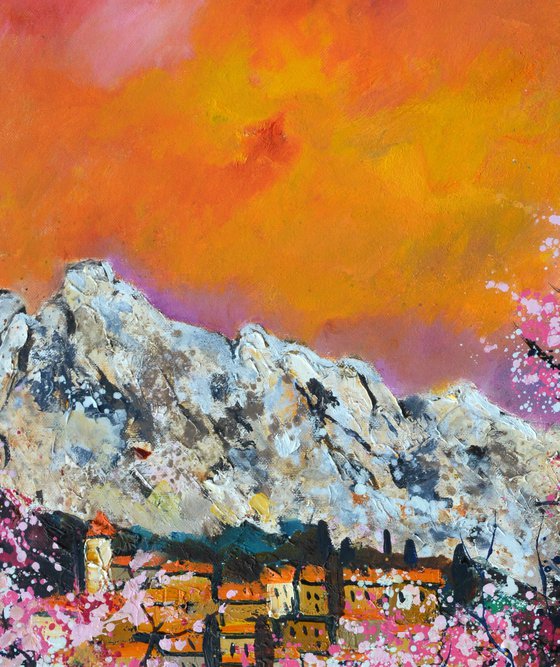 Blooming cherry trees Provence