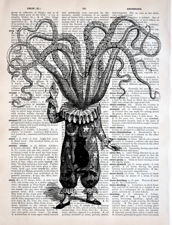 Octopus Astronomer