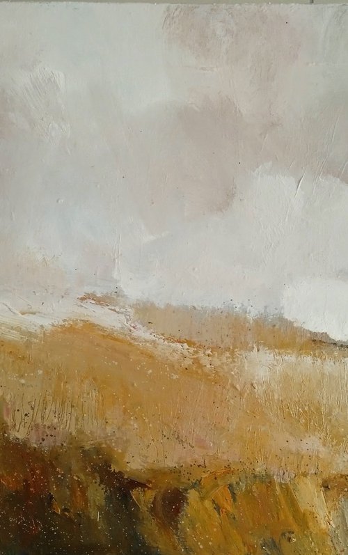 Summer Thunder by Fiona Philipps
