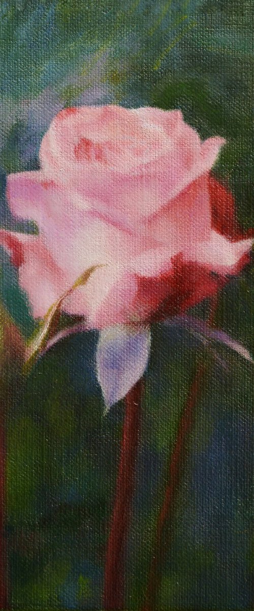 Rose and the Stream of Time by KAZUHIKO