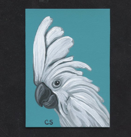 ACEO ATC Original Miniature Painting Umbrella Cockatoo Parrot Pet Bird Art-Carla Smale