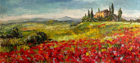 "Poppies of Tuscany.Sunny day."