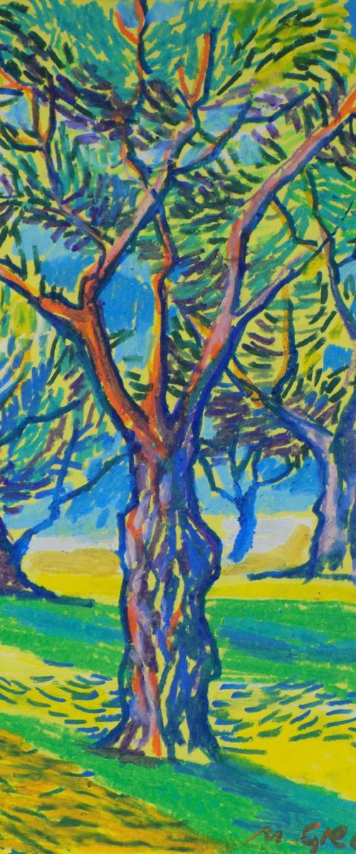 Olive grove No 5 by Maja Grecic