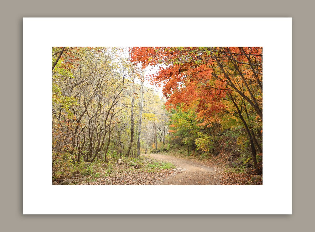 autumn path #1 by Yuan Hua Jia