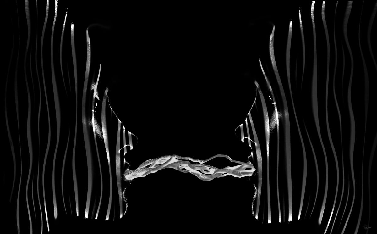 Illustrative Portrait Photograph By Bojan Jevtic, 39 X 24, The Aliens Kiss, Original Artwork