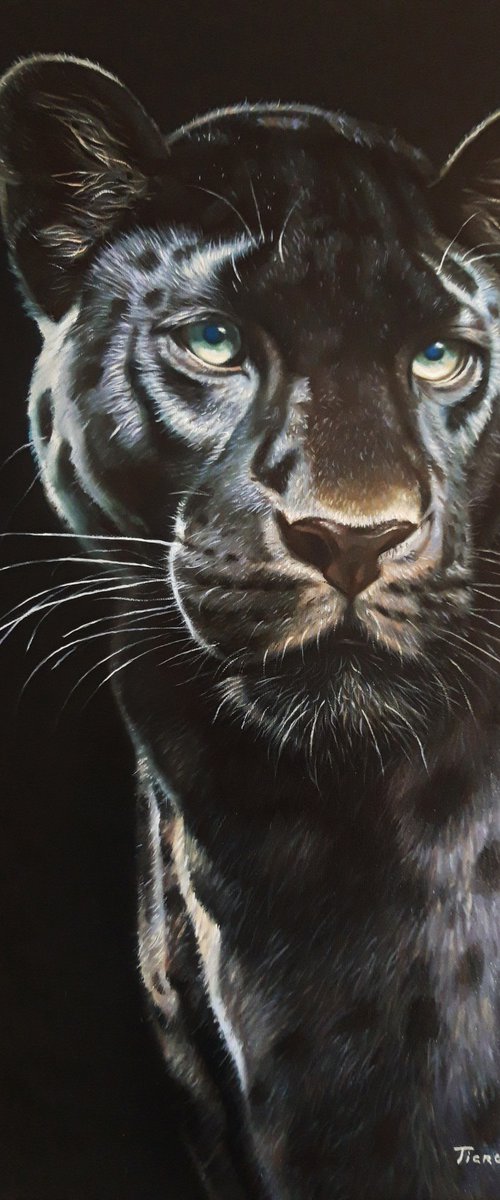 Wild Majesty by Tigran Araqelyan