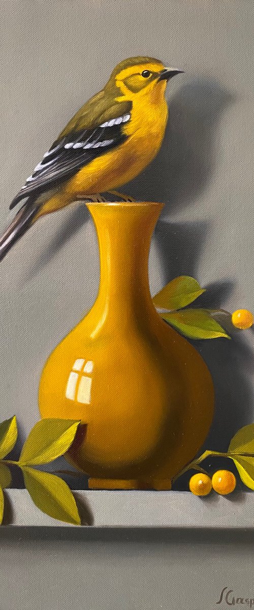 The Golden Warbler by Ara Gasparian
