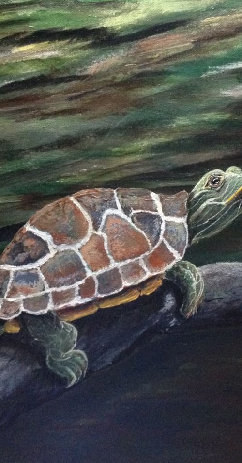 Sunning Turtle by Donna Daniels