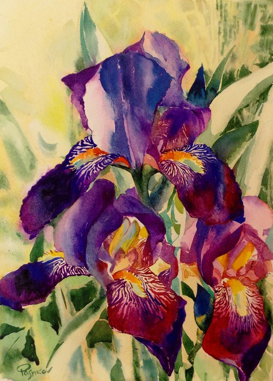 IRISES#6