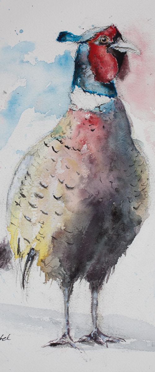 The Pheasant 2 by Tomasz Mikutel