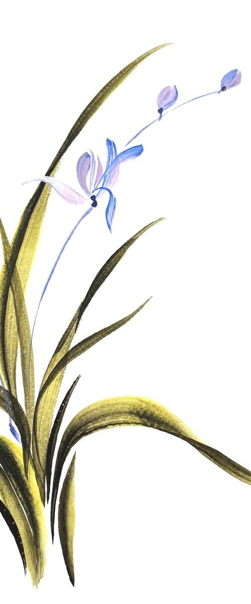 Whispering Blue Orchid by Hai Doan