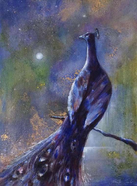 Night Garden Peacock No 1