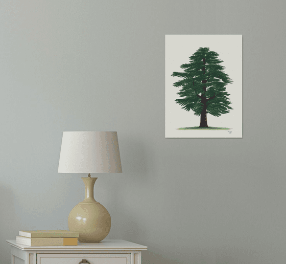Cedar of Lebanon