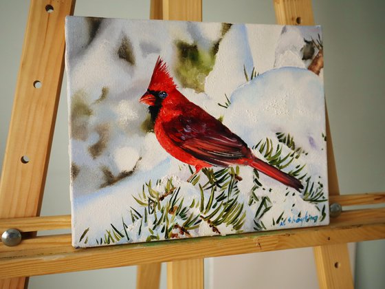 Red Cardinal in Snow