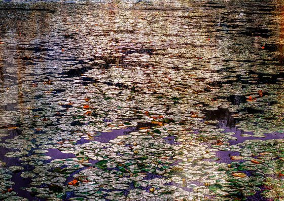 Waterlilies Autumn Palette. Original Signed Digital Art. Limited Edition PRINT by Retne.