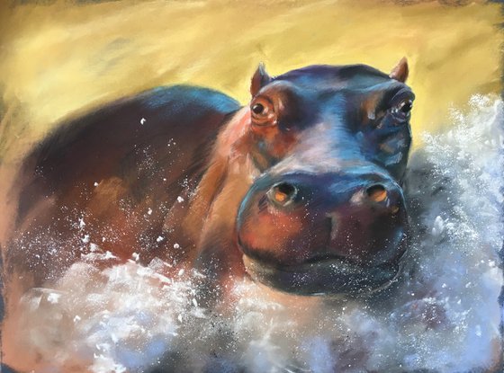Hippo bath