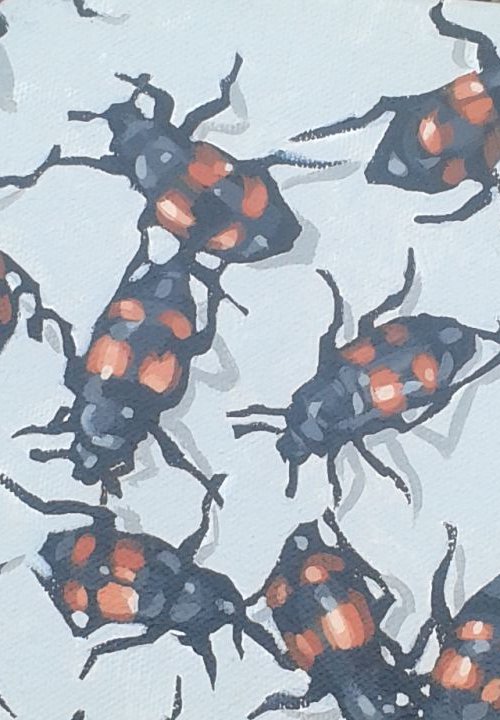 Beetles by Matthew Stutely