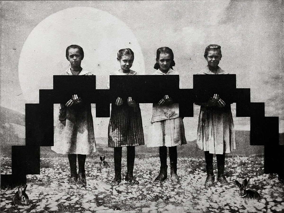 Surrealistic Animal Etchings & Engravings By Jaco Putker, 13 X 10, The Anaconda, Original Artwork