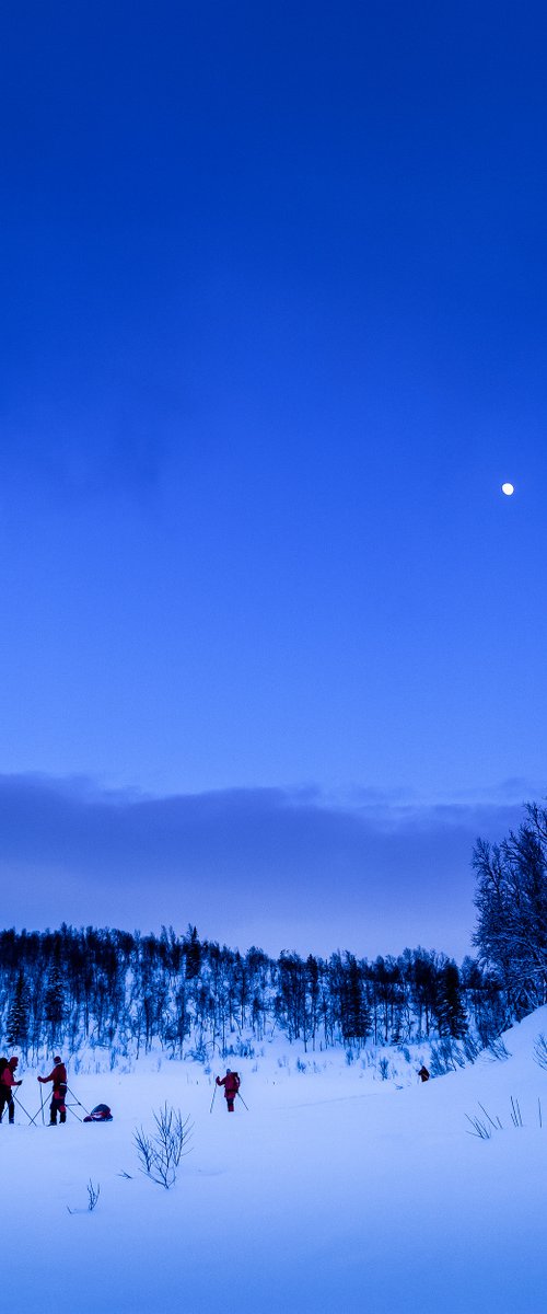 Skiing In The Blue Hour I by Tom Hanslien