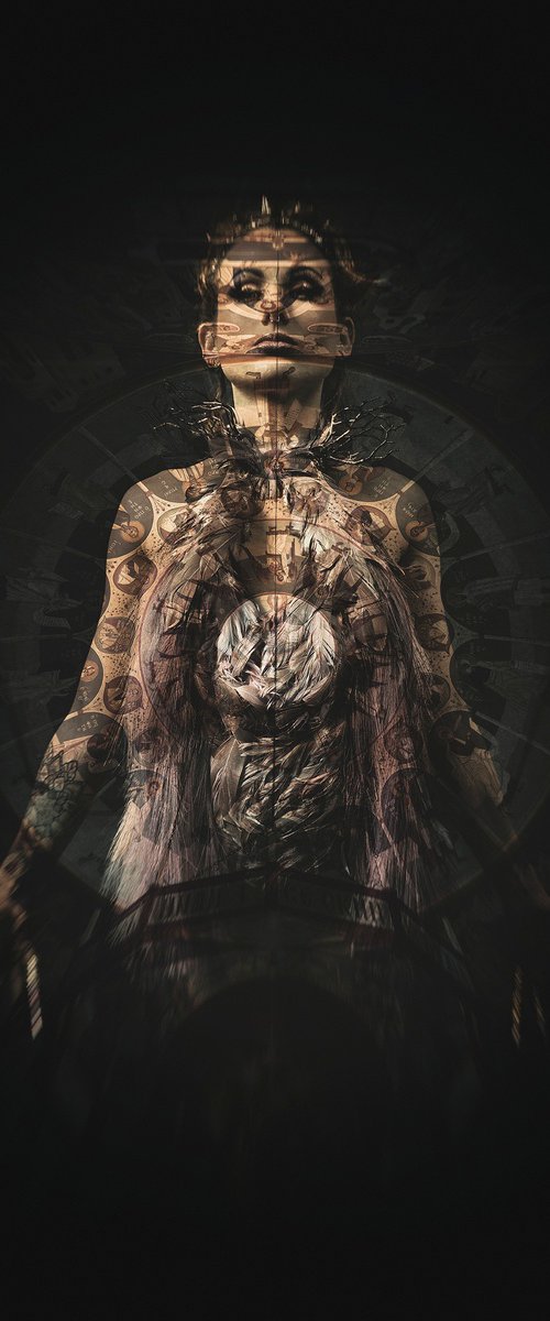 Symetry O by Cédric Brion