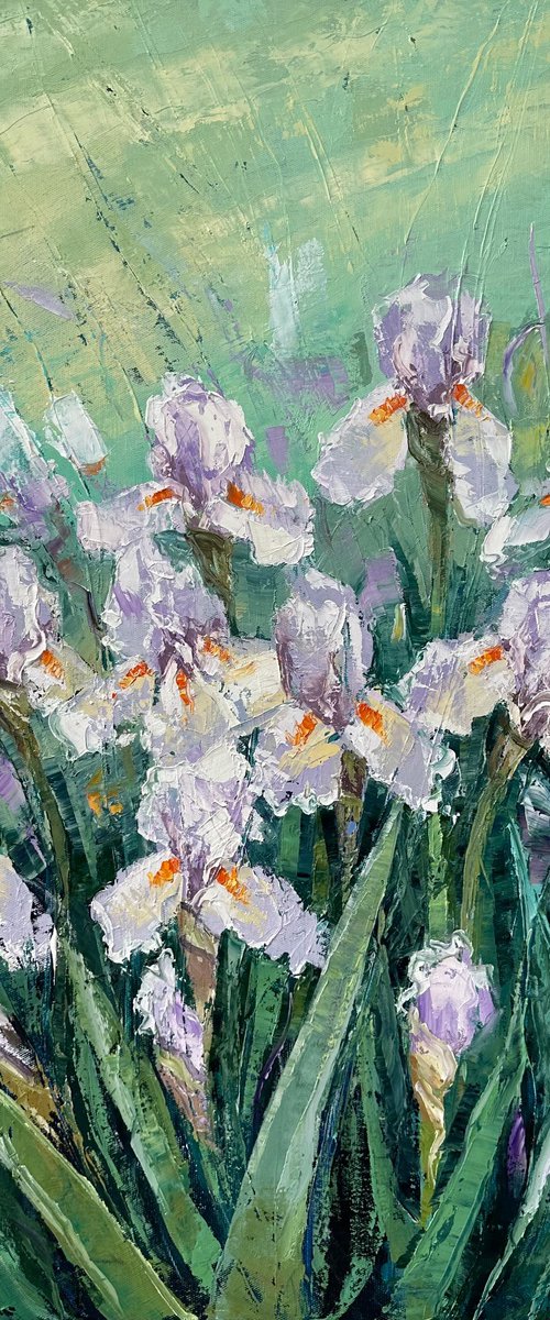 Irises 70x80cm by Tigran Mamikonyan