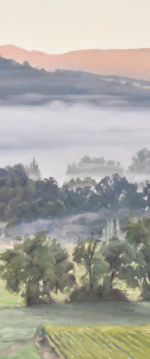 September10, Loire valley, mists in the rising sun by ANNE BAUDEQUIN