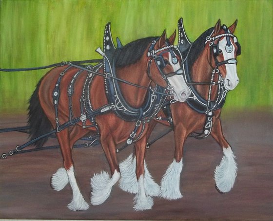 Draft horses, Clydesdales
