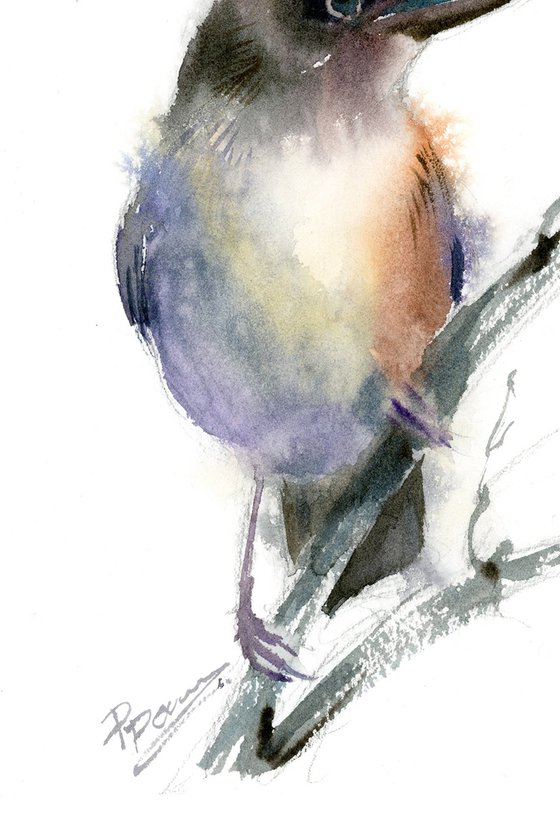 Wren - Diptych