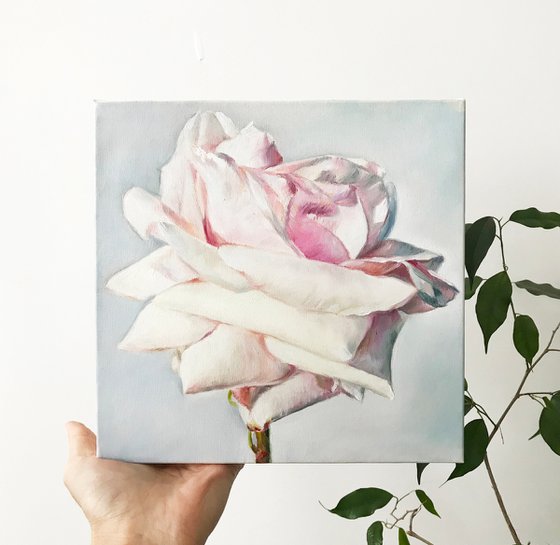 Oil painting "Rose" 20*20 cm