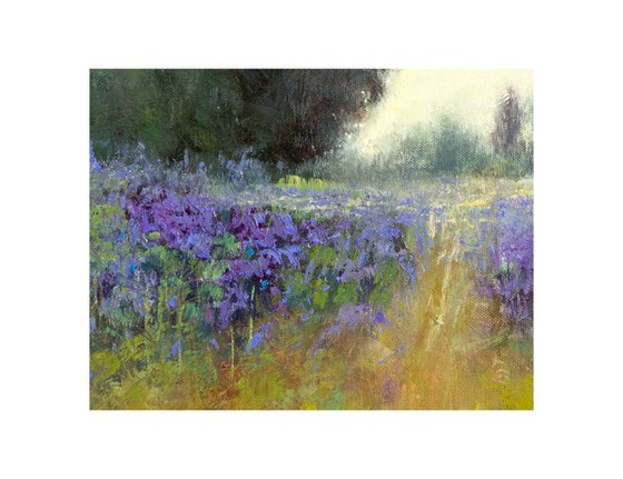 Misty Lavender Field