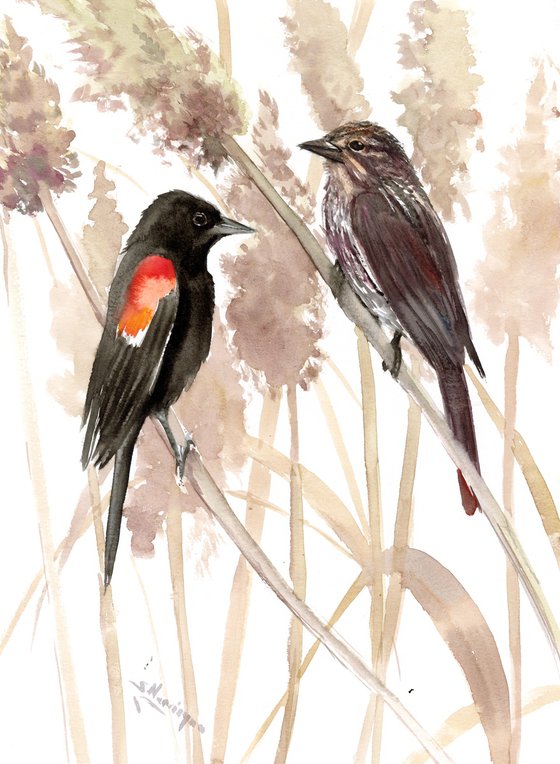 Red Winged Blackbirds