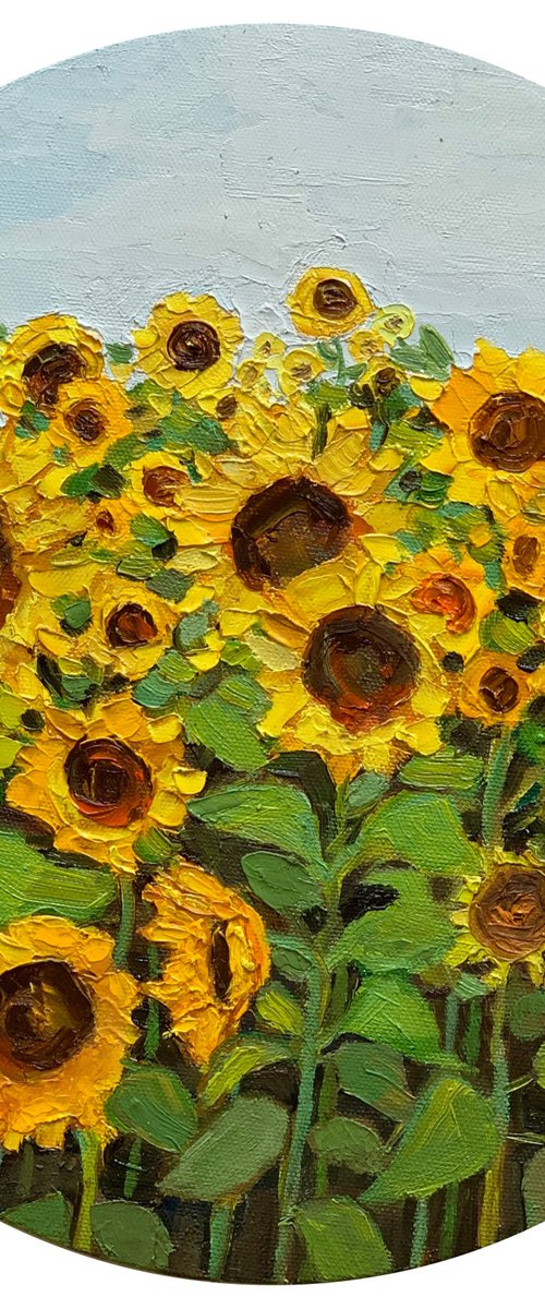 Moments in the sunflower field by Amita Dand
