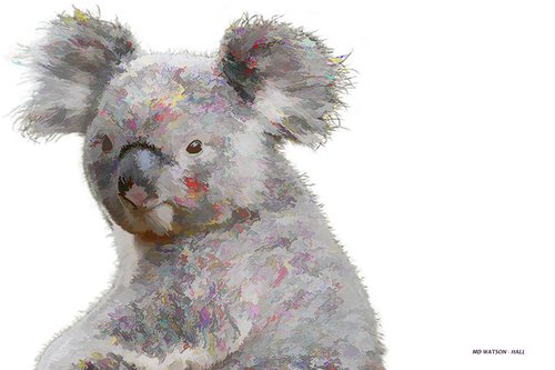 Koala by Marlene Watson